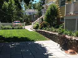 Landscape Design & Construction