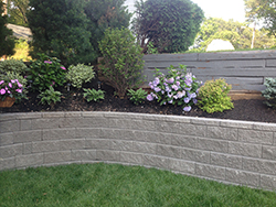 Hardscape & Masonry