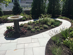 Hardscape & Masonry