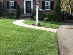 Lawn Maintenance & Applications