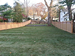 Lawn Maintenance & Applications