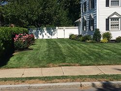 Lawn Maintenance & Applications